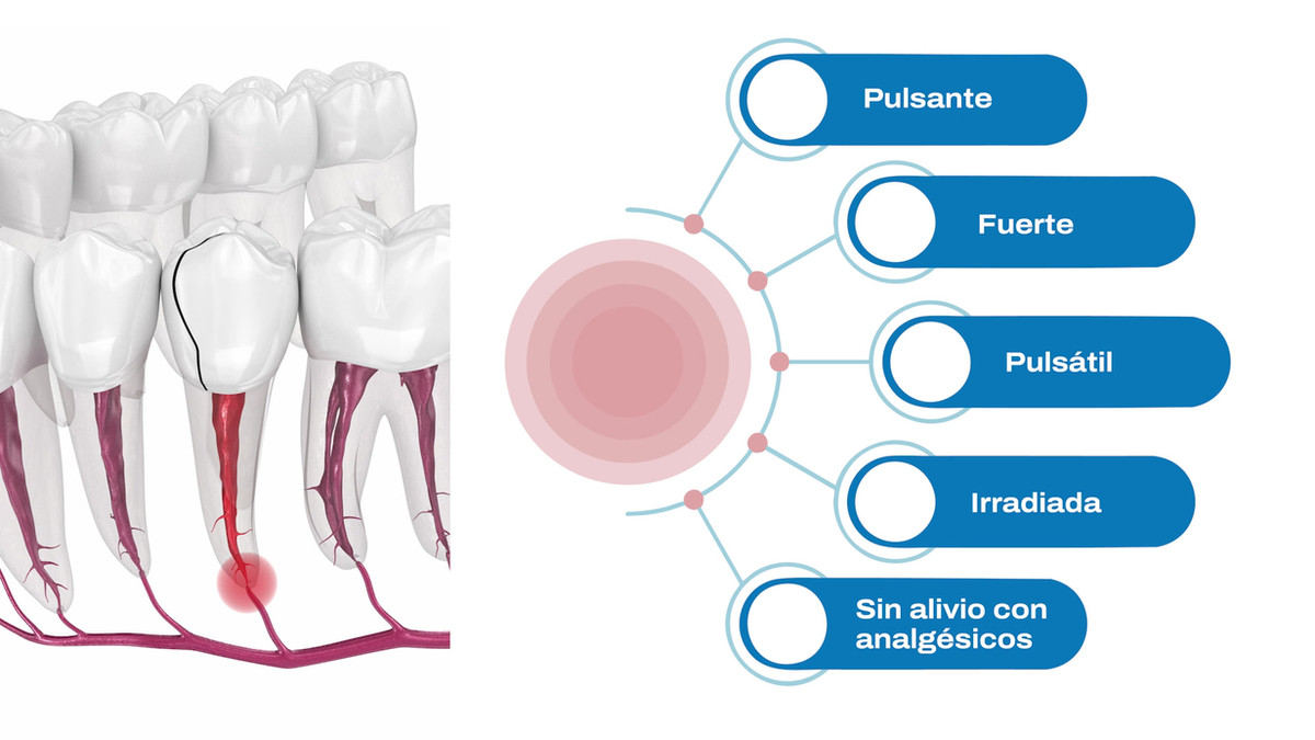 Tela didática com ilustração odontológica e mapa de sintomas